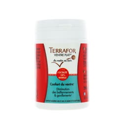 Terrafor Flat stomach 60 capsules