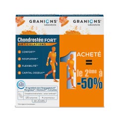 Granions Chondrosteo Fort Articulations 2x120 Tablets