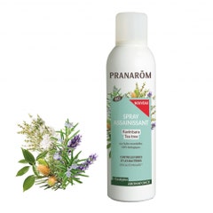 Pranarôm Aromaforce Ravintsara Purifying Spray Organic Tea Tree 150ml