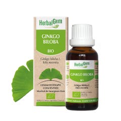 Herbalgem Ginkgo Biloba Bioes 30ml