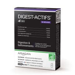 Digestactifs 30 Gelules Synactifs