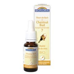 No 7 Chestnut Bud Organic Demeter Bach Flower Remedies Vitality Joy Of Living 25ml Biofloral
