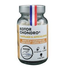 Kotor Chondro 60 gélules Cartilage et Articulation Kotor