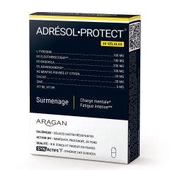 Adrésol Protect Gélules x30 Synactifs