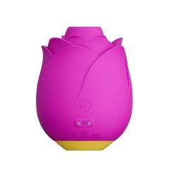 Rose aspirateur clitoridien Romp