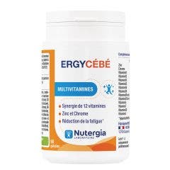 Ergycebe 90 Capsules 90 Gélules Multivitamines Nutergia