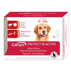 Protec Bi-actifs 268mg/2400 mg solution spot-on chien (20-40kg) 4x4.40ml Canys