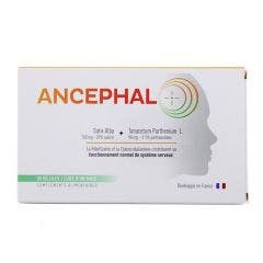 Ancephal 30 Gélules Cure de 1 Mois Nature'S Plus