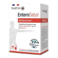 EnteroSatys® 60 Gelules Métabolisme Targedys
