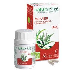 Olive Tree Leaves 60 capsules Naturactive