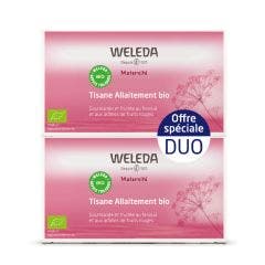 Milk feeding Herbal Tea Red Fruit 2x20 Sachets Maternite Weleda