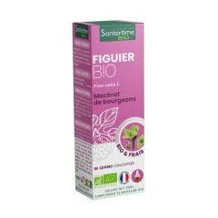 Organic Fig Tree Bud 30 ml Gémmothérapie Santarome