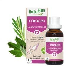 Intestinal comfort 30ml Complexes De Gemmotherapie Cologem Herbalgem
