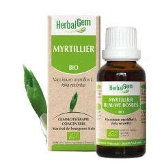 Bilberry 30ml Bourgeons Herbalgem