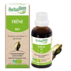 Retention Circulation Bioes 30ml Bourgeons Ash Herbalgem