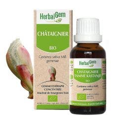 Retention Circulation Bioes 30ml Bourgeons Chestnut Herbalgem