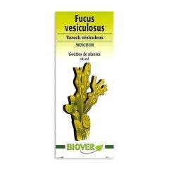 Fucus Vesiculosus Drops Slimness 50ml Biover