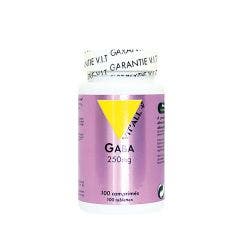 + Gaba 100 Tablets 250mg Vit'All+