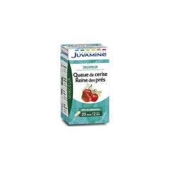 Cherry Stalk Draining Meadow Sweet X 50 Capsules Juvamine