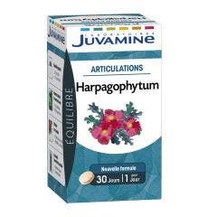 Harpagophytum Joint 30 Tablets Juvamine