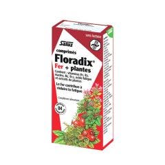 Floradix Iron And Plants 84 Tablets Salus