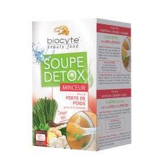 Soupe Detox Minceur 16x9g Biocyte