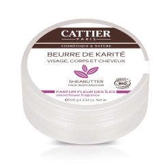 Organic Shea Butter Face Body And Hair 100g Beurre De Karite Cattier