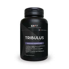 Tribulus Synthese Testosterone X 90tablets Eafit