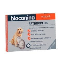 Arthroplus Joint Functional Disorders Cats And Dogs Biocanina