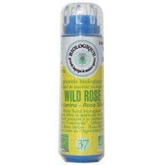 Fleurs De Bach Alcohol Free - Granules 37. Wild Rose 6.3g Kosmeo