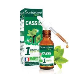 Bourgeon Cassis Bio 30 ml Santarome