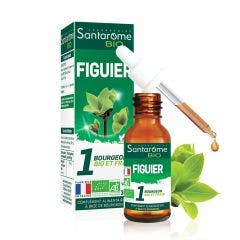 Organic Fig Tree Bud 30 ml Santarome