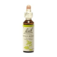 Bach B137 Wild Rose 20ml Fleurs de Bach Original