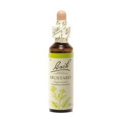 Bach B121 Mustard 20ml Fleurs de Bach Original