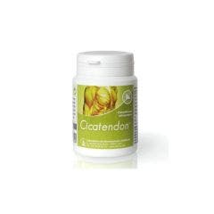 Cicatendon 60 Capsules Labrha