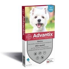 Dogs 4 To Pipettes X6 10kg Advantix