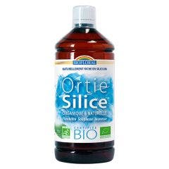 Nettle-Silice Organic Drink Suppleness & Youth 1l Biofloral