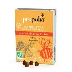 Organic Propolis Gums Agave Ginger Lemon 45g Propolia