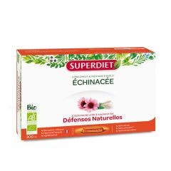 Fluid Extract Of Echinacea X 20 Phials / 15 ml Superdiet