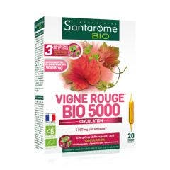 Bio Red Vine X 20 Phials 200ml Santarome