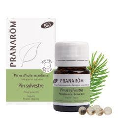 Organic Scots Pine Essential Oil 60 Pearls Les Huiles Essentielles Pranarôm