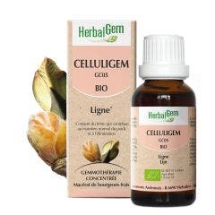 Organic Celluligem 30ml Complexes De Gemmotherapie Anti-Cellulite Herbalgem