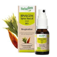 Rinalgem Respiration Spray Bio 15ml Complexes De Gemmotherapie Herbalgem
