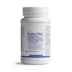 Protect Plus 90 capsules Biotics Research