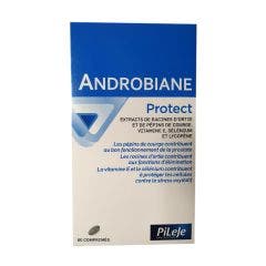 Androbiane 60 Capsules 60 Comprimés Pileje