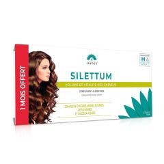Hair Growth 3x60 capsules Silettum Jaldes
