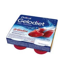 Eau gélifiée 4x120g Gelodiet Delical
