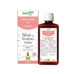 Organic Fresh Birch Sap 250ml Herbalgem