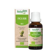 Fig tree Bioes 30ml Herbalgem