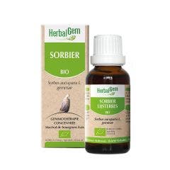 Bio Mountain Ash 30ml Herbalgem